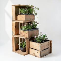 Suporte Vertical Modular para Plantas com Caixotes de Madeira