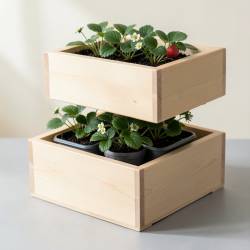 Two-Tier Strawberry Planter Box