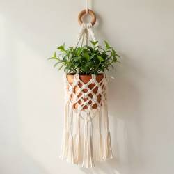 Macrame Plant Hanger